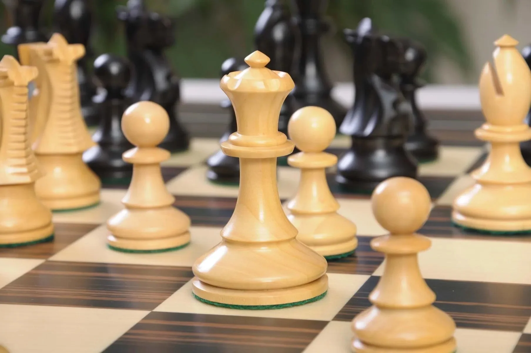 Thumbnail 23